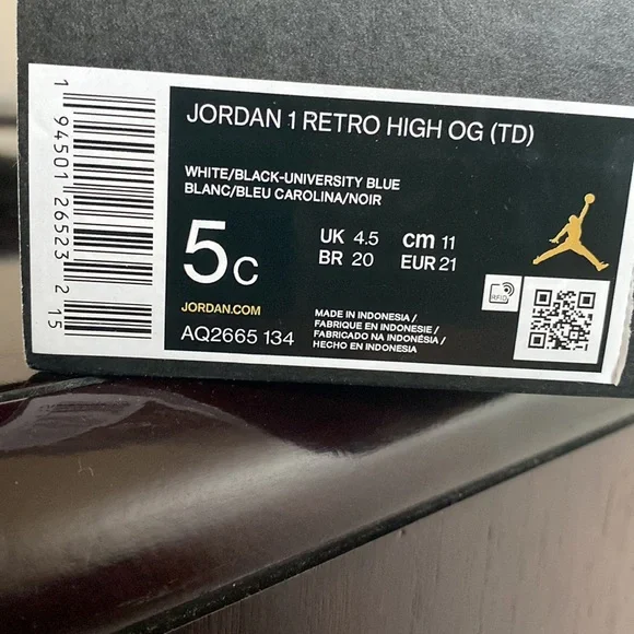 Jordan 1 Retro high OG TD white/Black Blue Universal